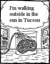Bush's Brain